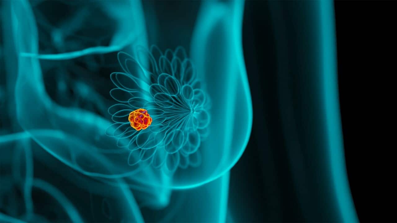 CANCER TREATMENT SUBSIDY