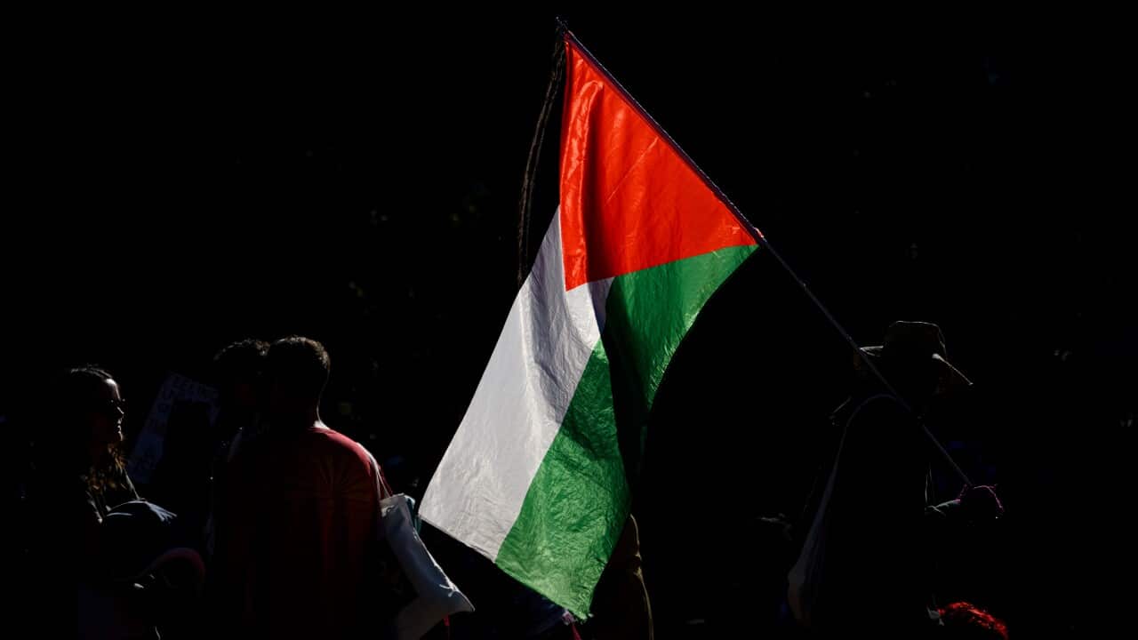 Image for read more article 'READ MORE'