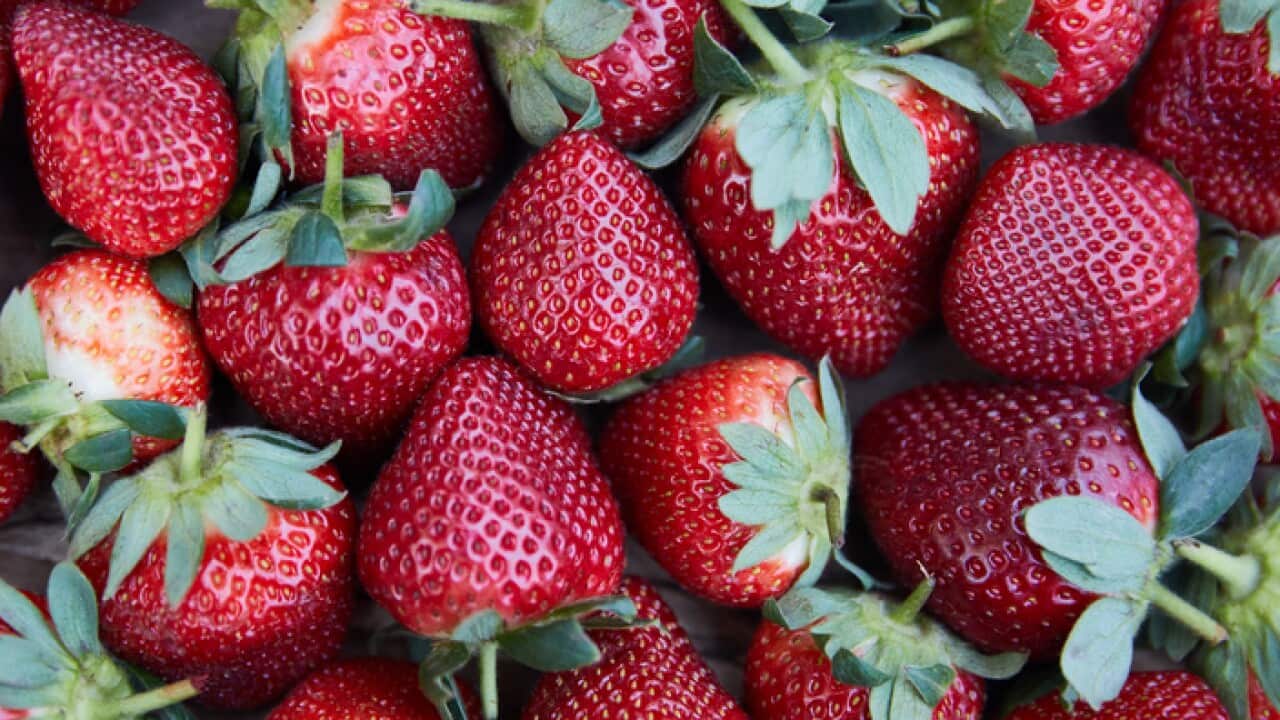 A stock image of strawberries in Sydney,Tuesday, September 18, 2018. (AAP Image/Erik Anderson) NO ARCHIVING
