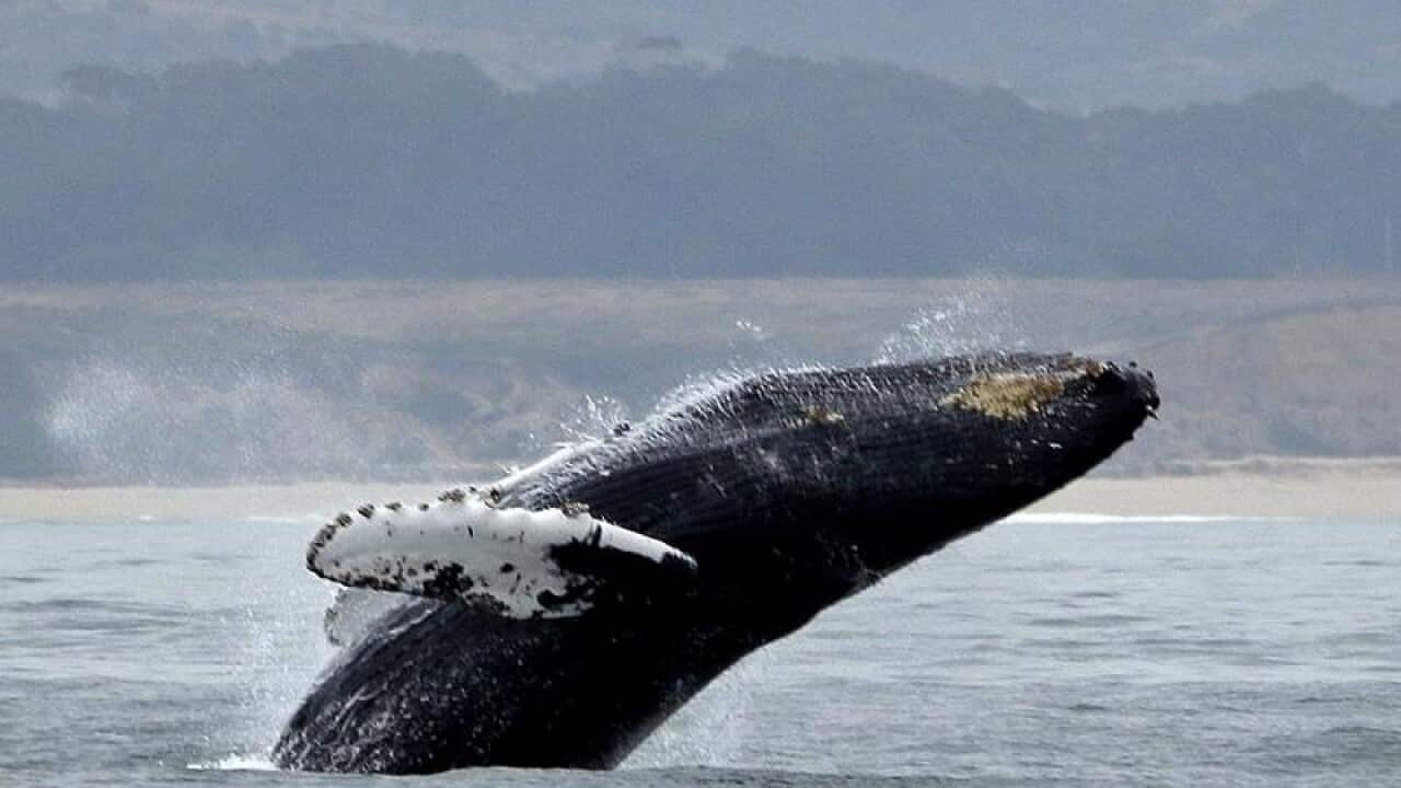 Image for read more article 'Read More'