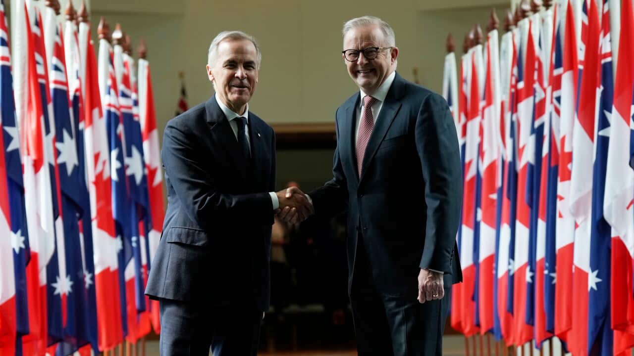 Mark Carney,Anthony Albanese