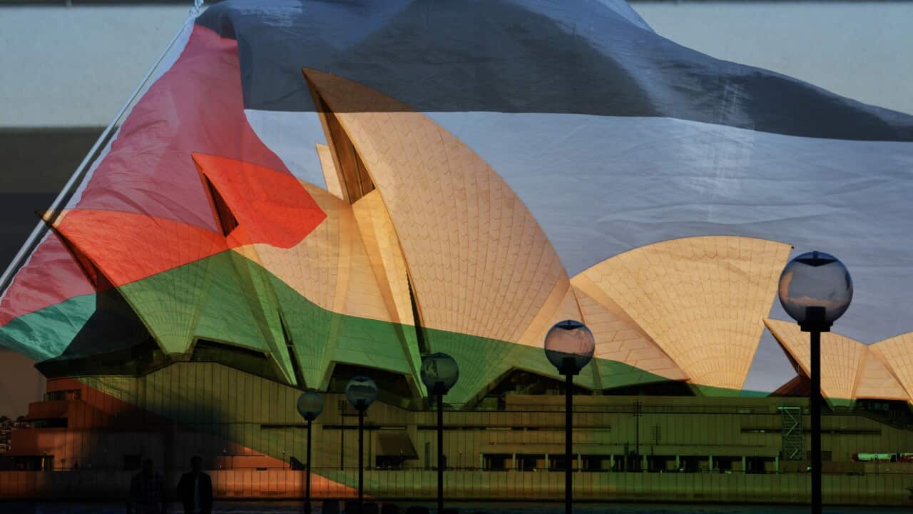 A composite image showing a Palestinian flag in front of the Sydney Opera House