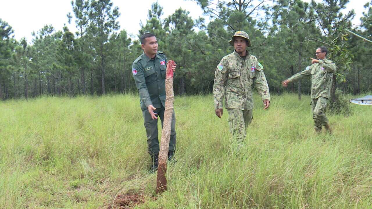 Keo Seima forest in Cambodia