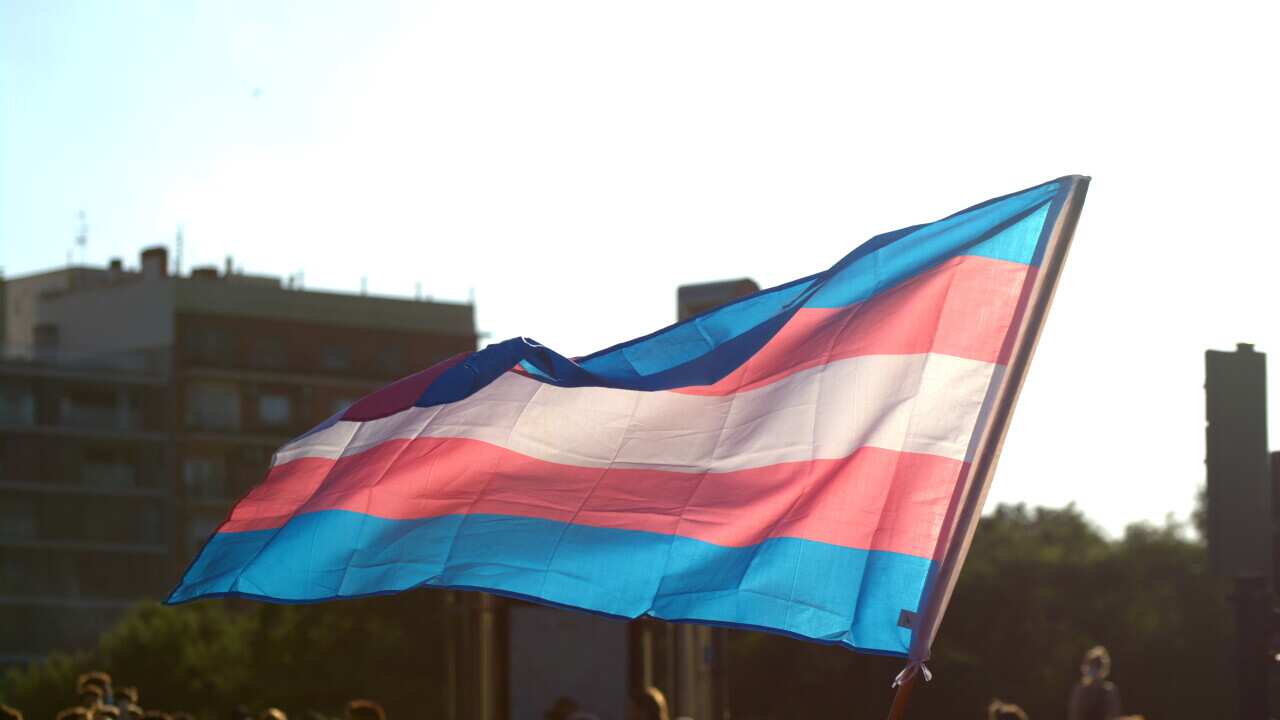 Government announces federal review into trans healthcare for young people
