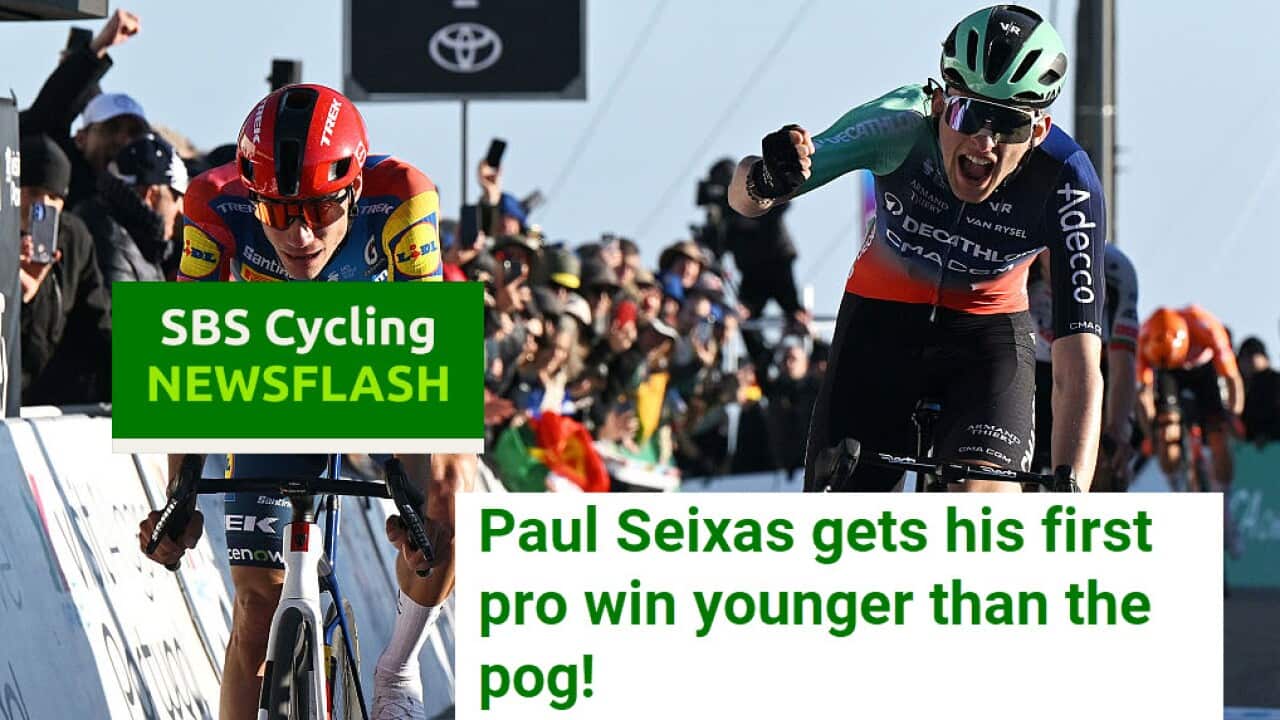 newsflash Seixas.jpg