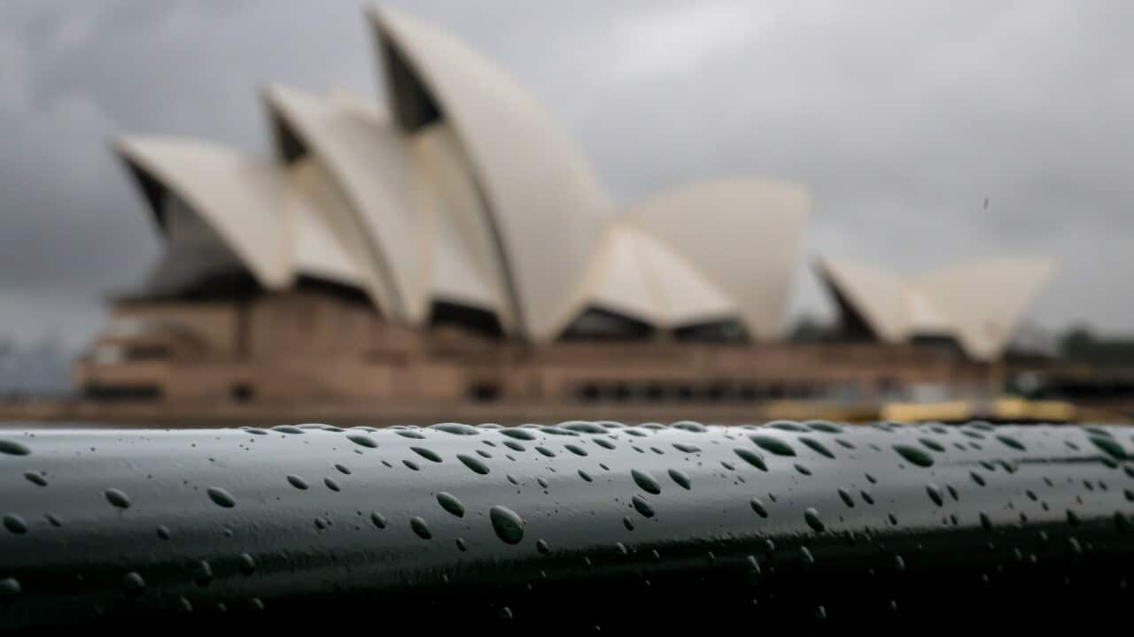 SYDNEY DAILY LIFE