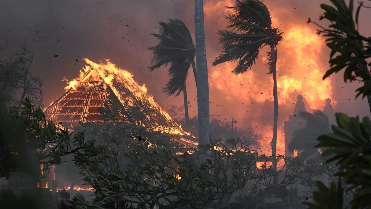Hawaii Fires