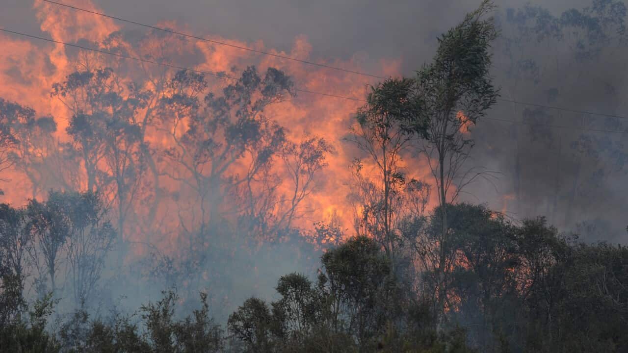 A bushfire jumps the Bells Line Road north of Lithgow.
