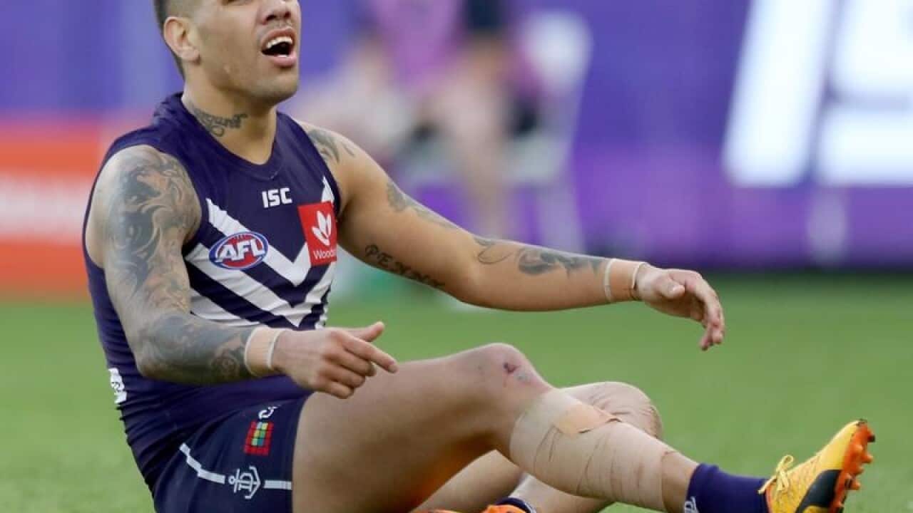 Michael Walters of the Dockers