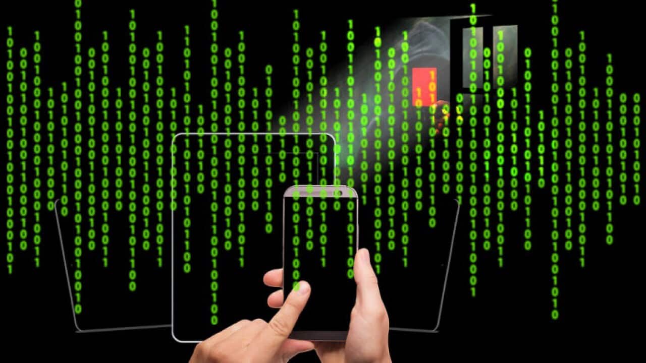 高度匿名的暗网不法分子是如何被追踪的？ | SBS Chinese