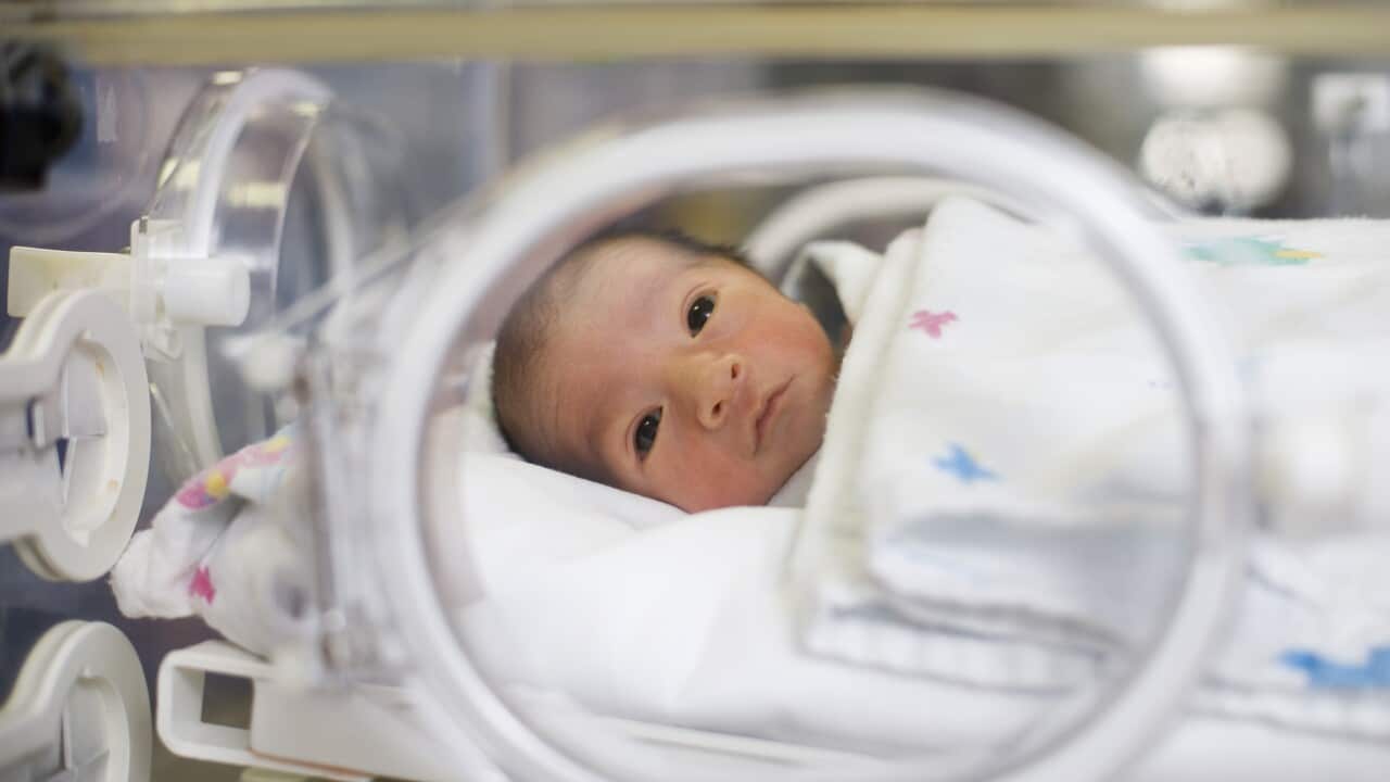Baby in intensive care unit