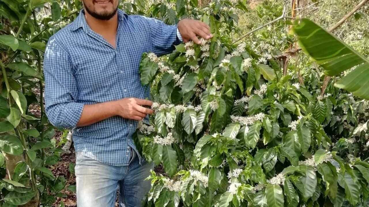 Passiflora Coffee Project / Emmanuel López Gamboa