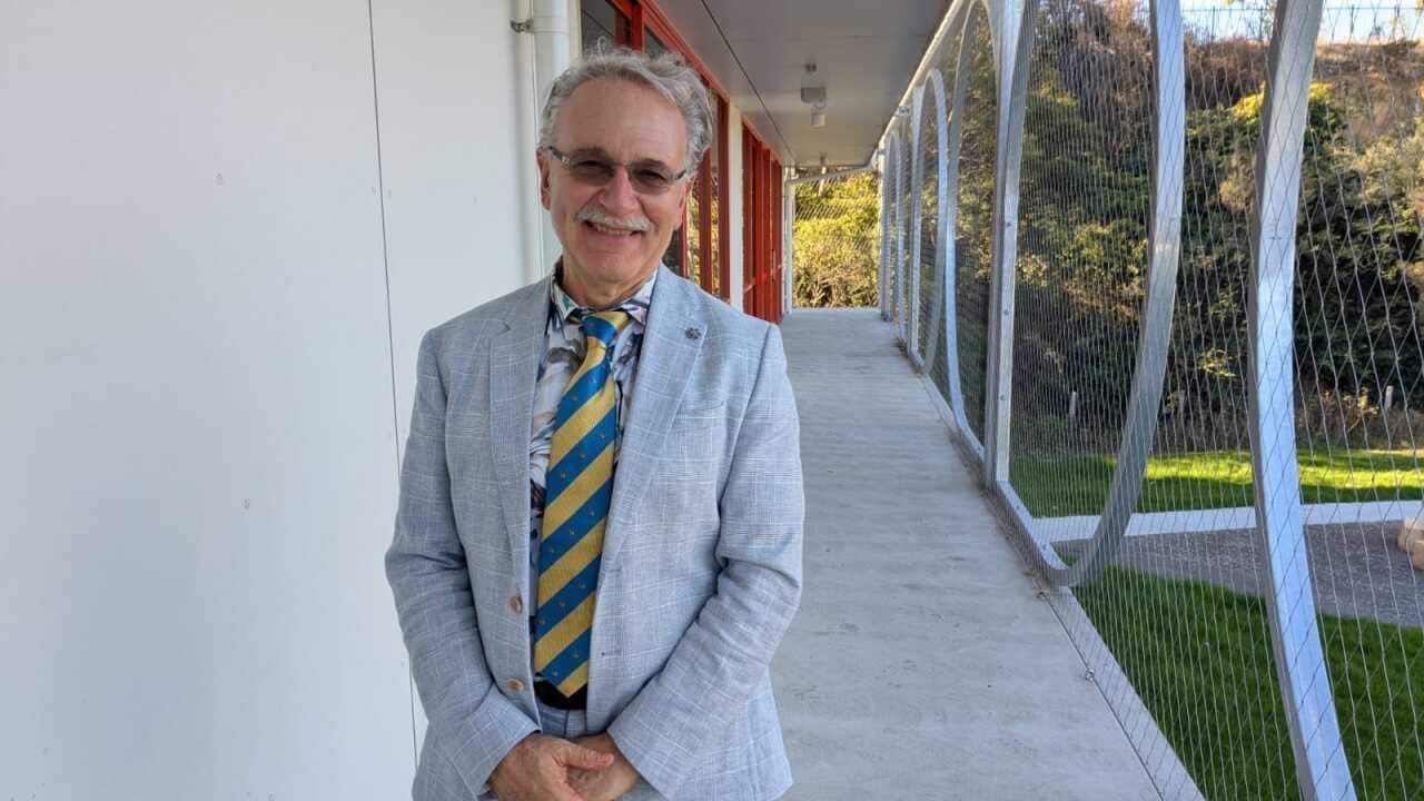 WhatsApp Image 2025-03-18 at 18.04.07.jpeg