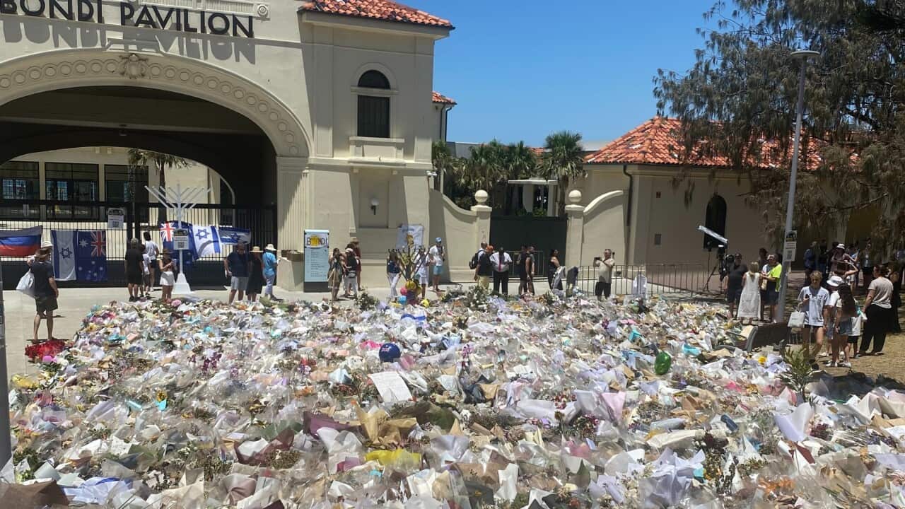 Floral tributes at Bondi Beach. Arrangements are being made for a permanent memorial at Bondi as well as the National Day of Mourning in the new year_SBS_Catriona Stirrat.jpg
