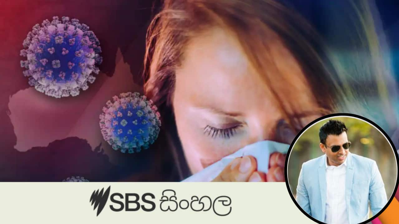 Triple Threat in Winter.png