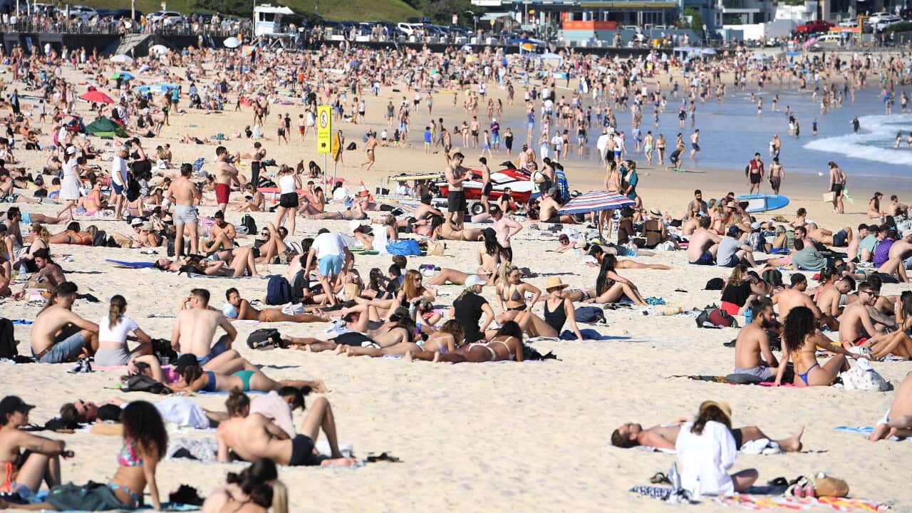 Image for read more article 'READ MORE'