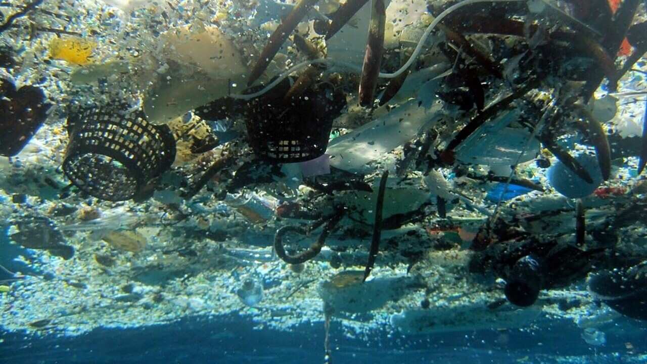 Plastic pollution in the ocean (Supplied - NOAA)