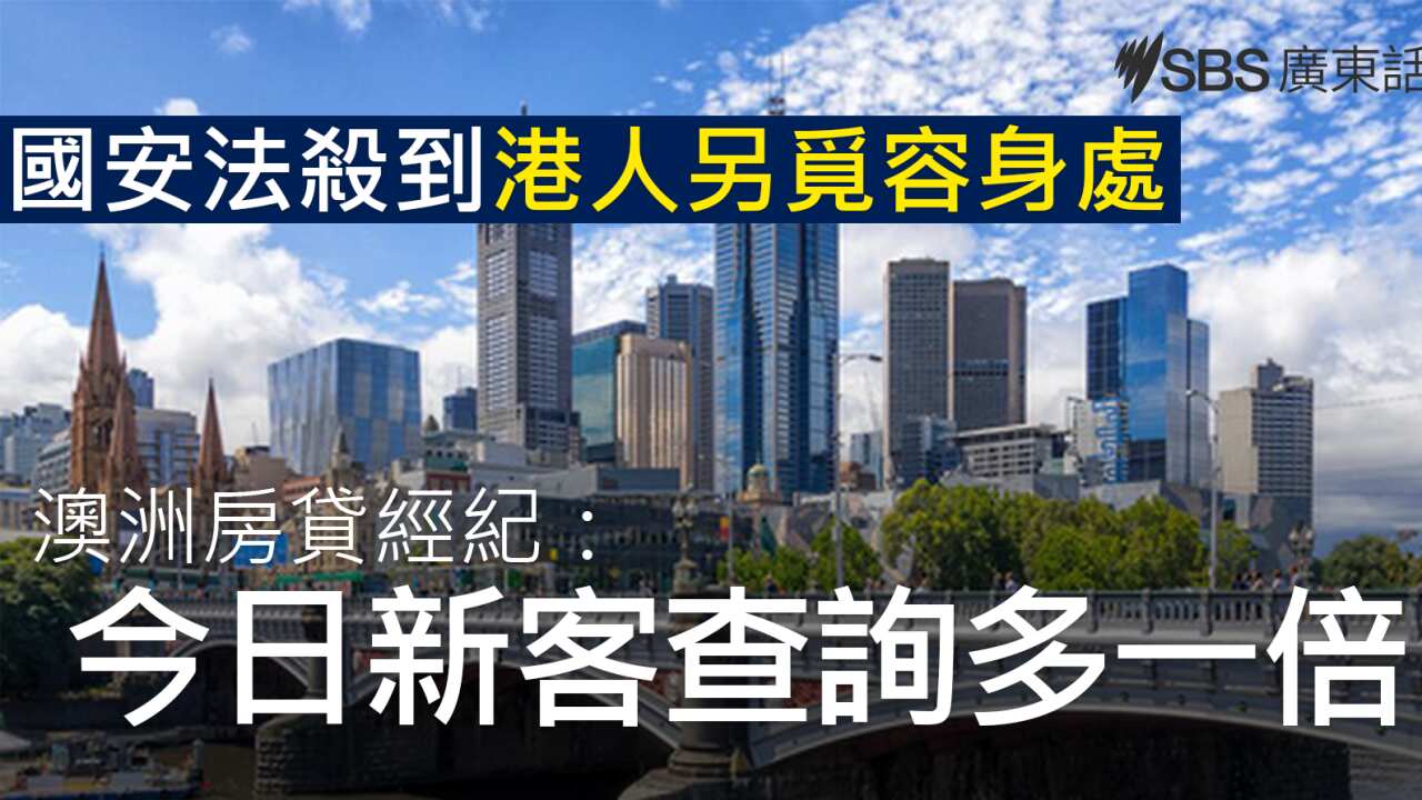 申請移民易墮陷阱？】澳洲注冊顧問教你「幾招傍身」 | SBS Chinese