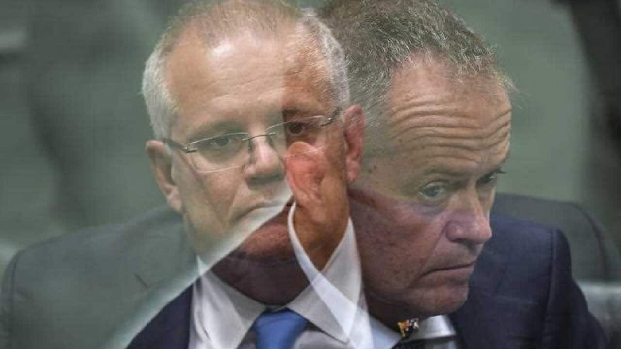 連邦選挙19 モリソン首相とショートン労働党代表 Sbs Japanese