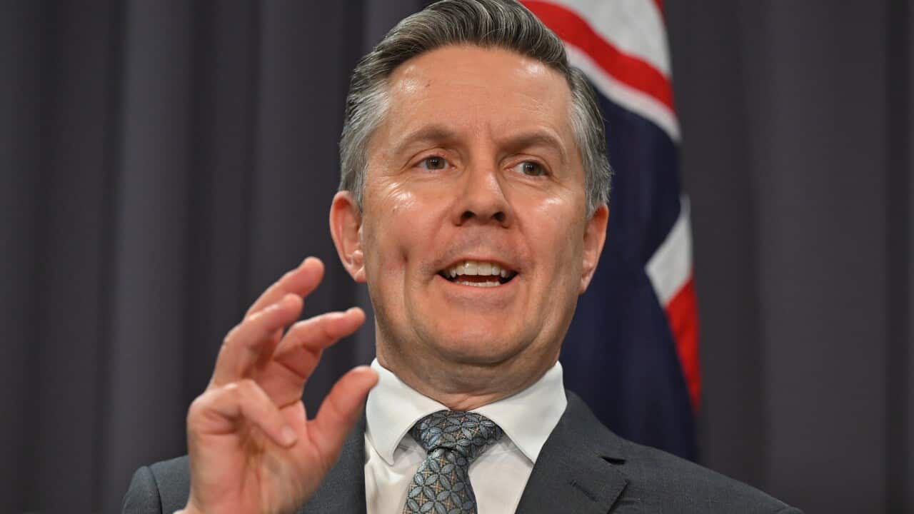 Health Minister Mark Butler speaking to the media.