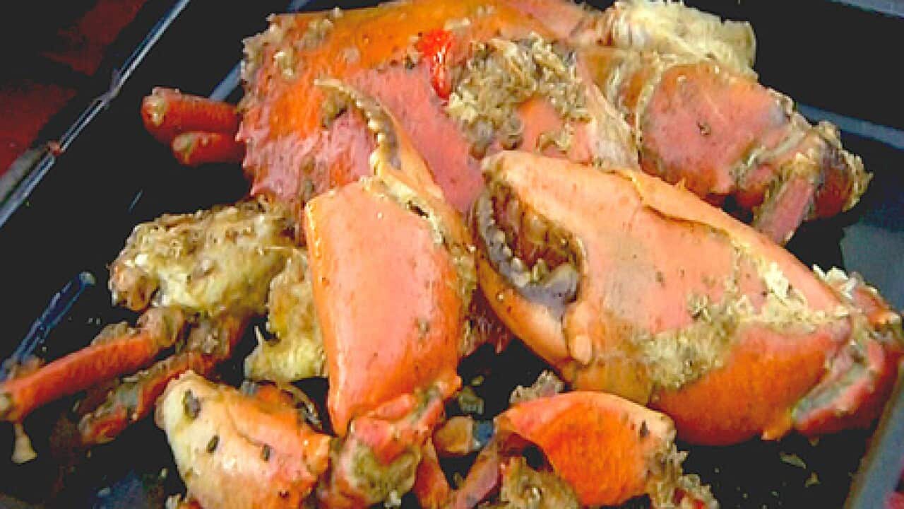 Chilli Mud Crab