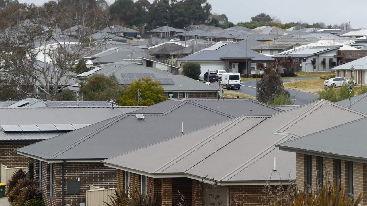 A residential street is filled with many similar-looking, single-story brick houses with grey and brown roofs, many of which have solar panels installed. The scene is overcast and a few cars are parked in driveways and on the street.