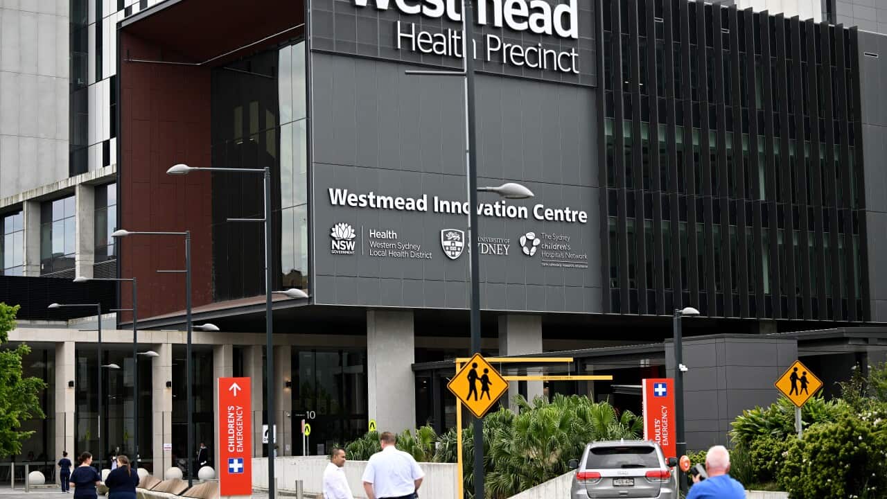 WESTMEAD HOSPITAL STOCK