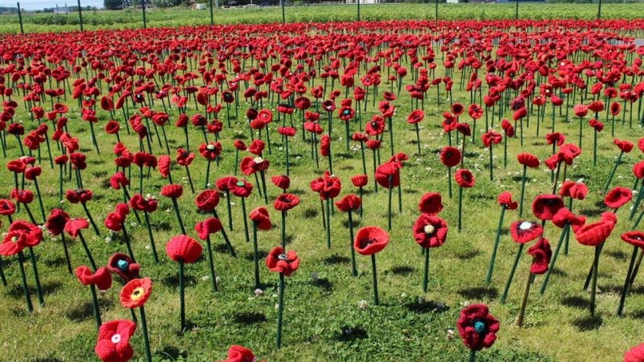 Thousands of embroidered poppies near Fromelles
