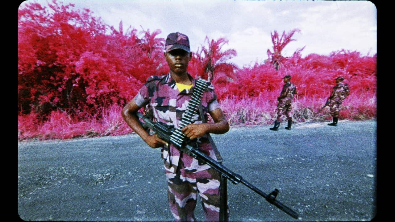 A still from Richard Mosse's video installation 'The Enclave'.