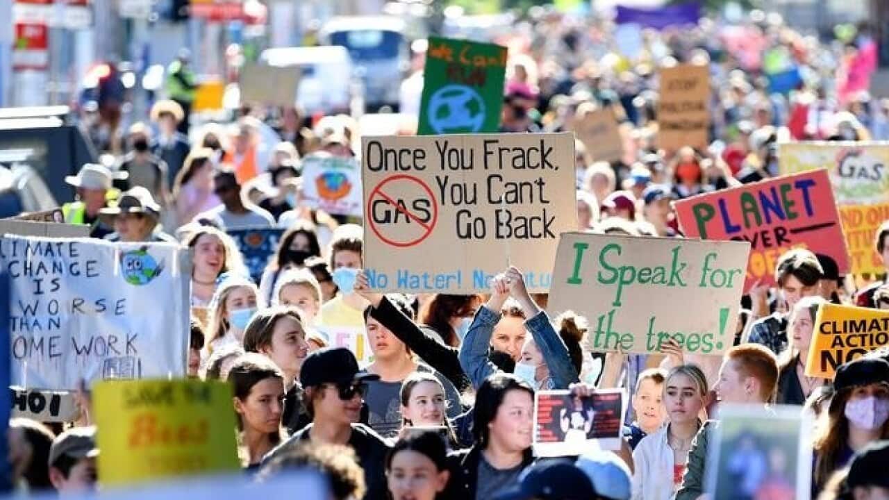 Protesters march on the Queensland Parliament