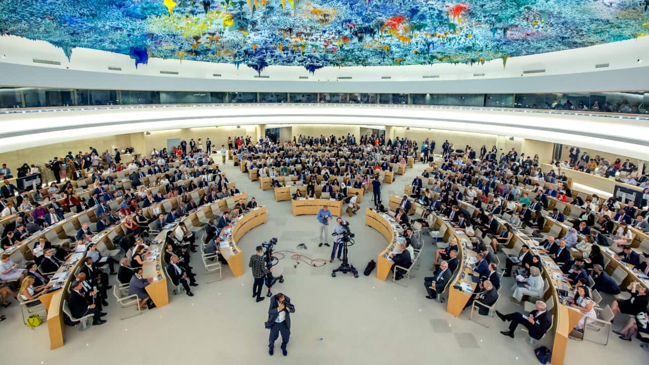 UN Assembly
