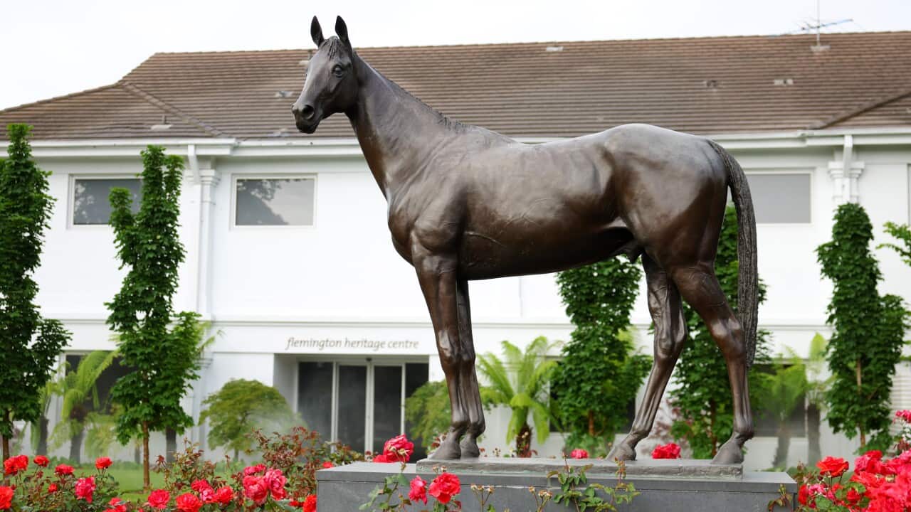 MELBOURNE CUP EVE MEDIA CALL