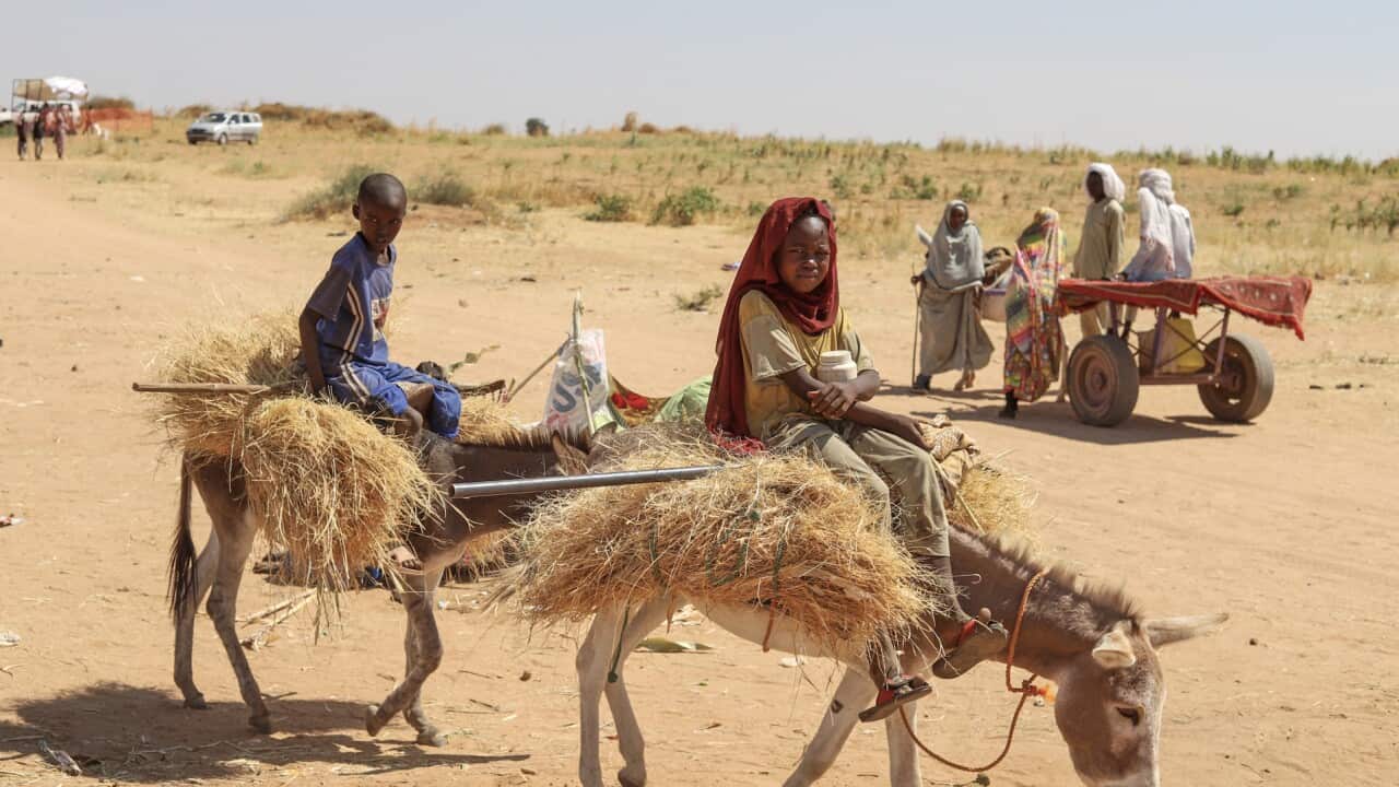 Two children on donkeys on a dirt road.