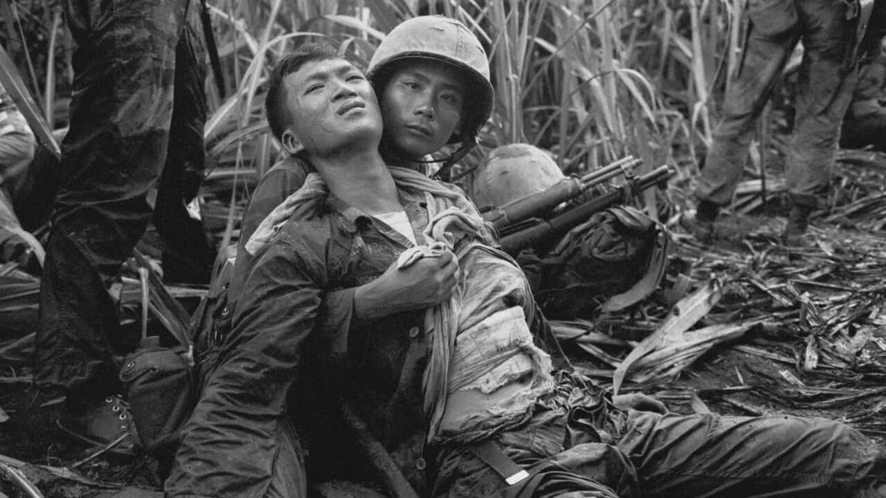 Stories from the Vietnam War The soldier's dog SBS What's On