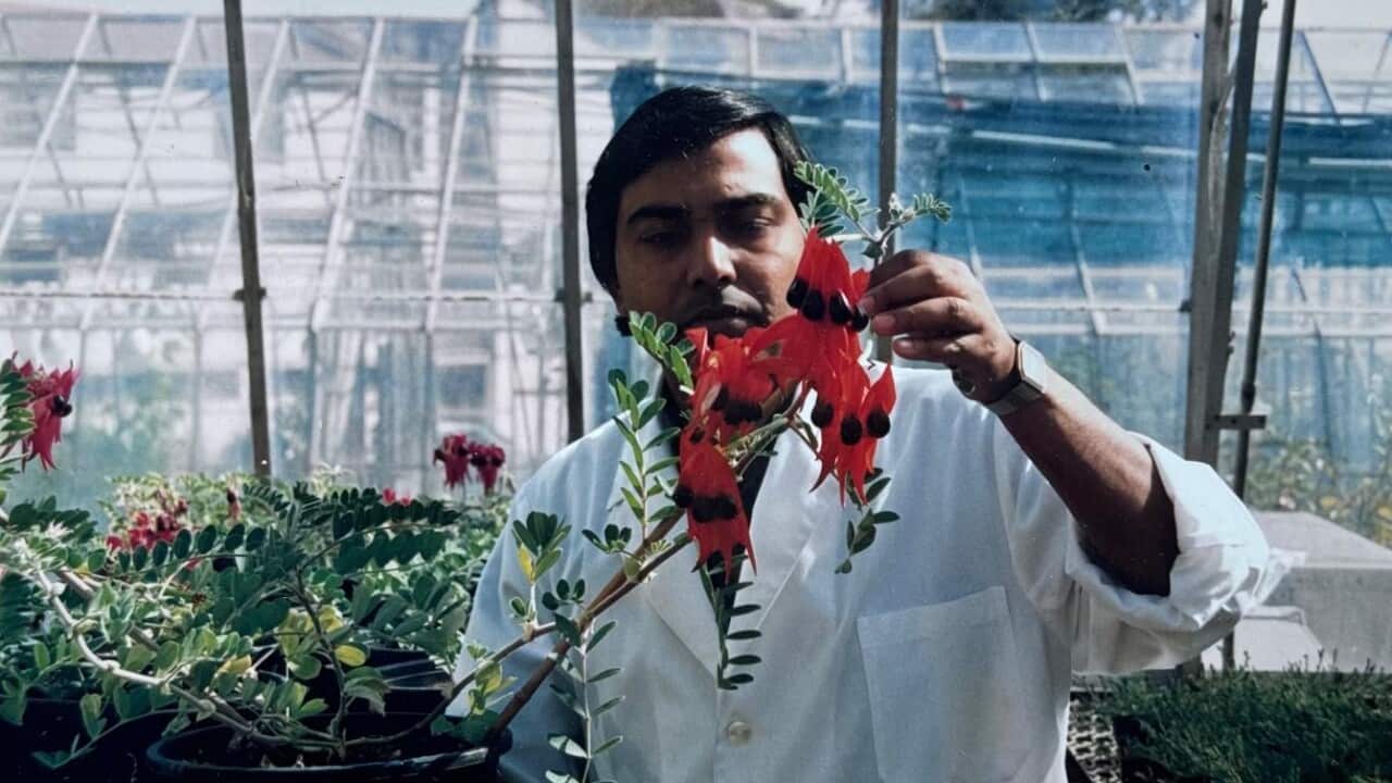 Cover photo Monjur Hamid Kochi.jpeg