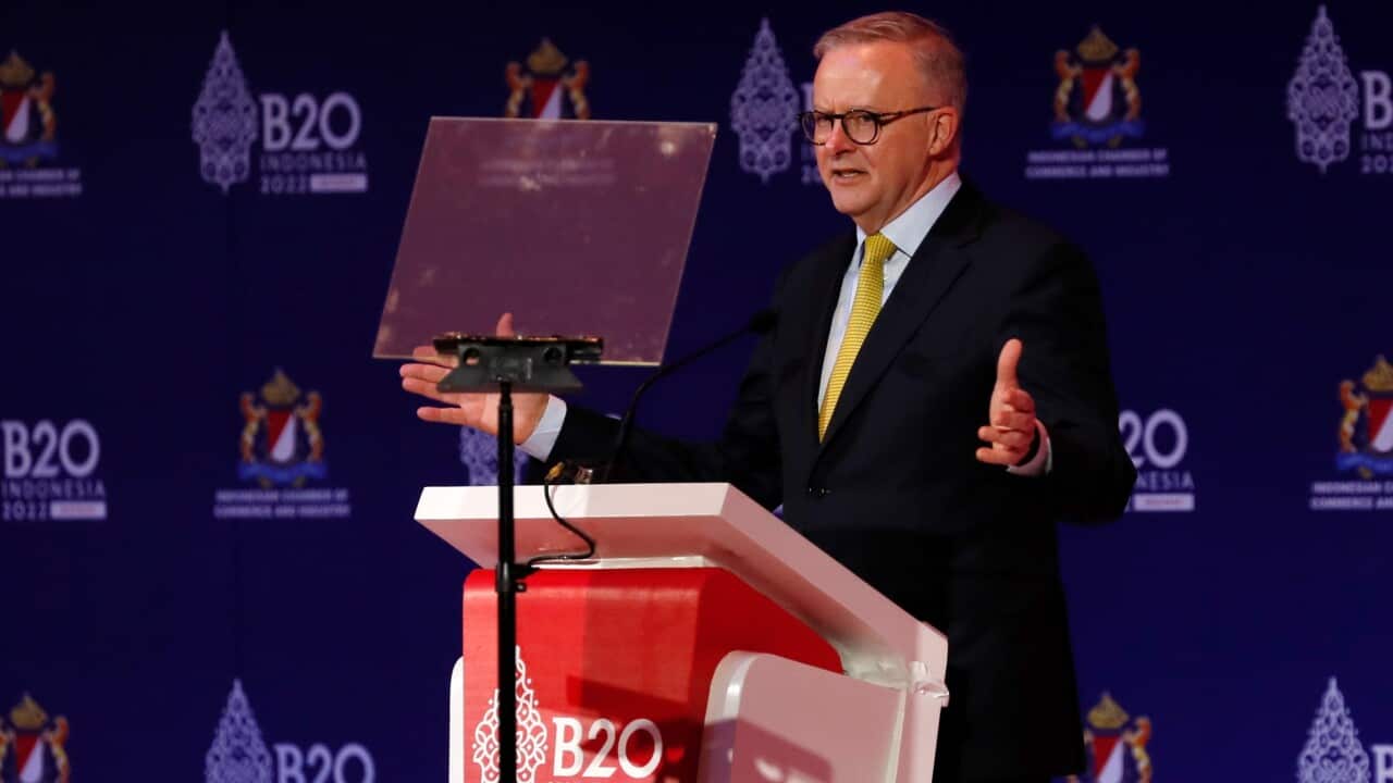 Australia's Prime Minister Anthony Albanese delivers his speech during the B20 Summit Indonesia 2022