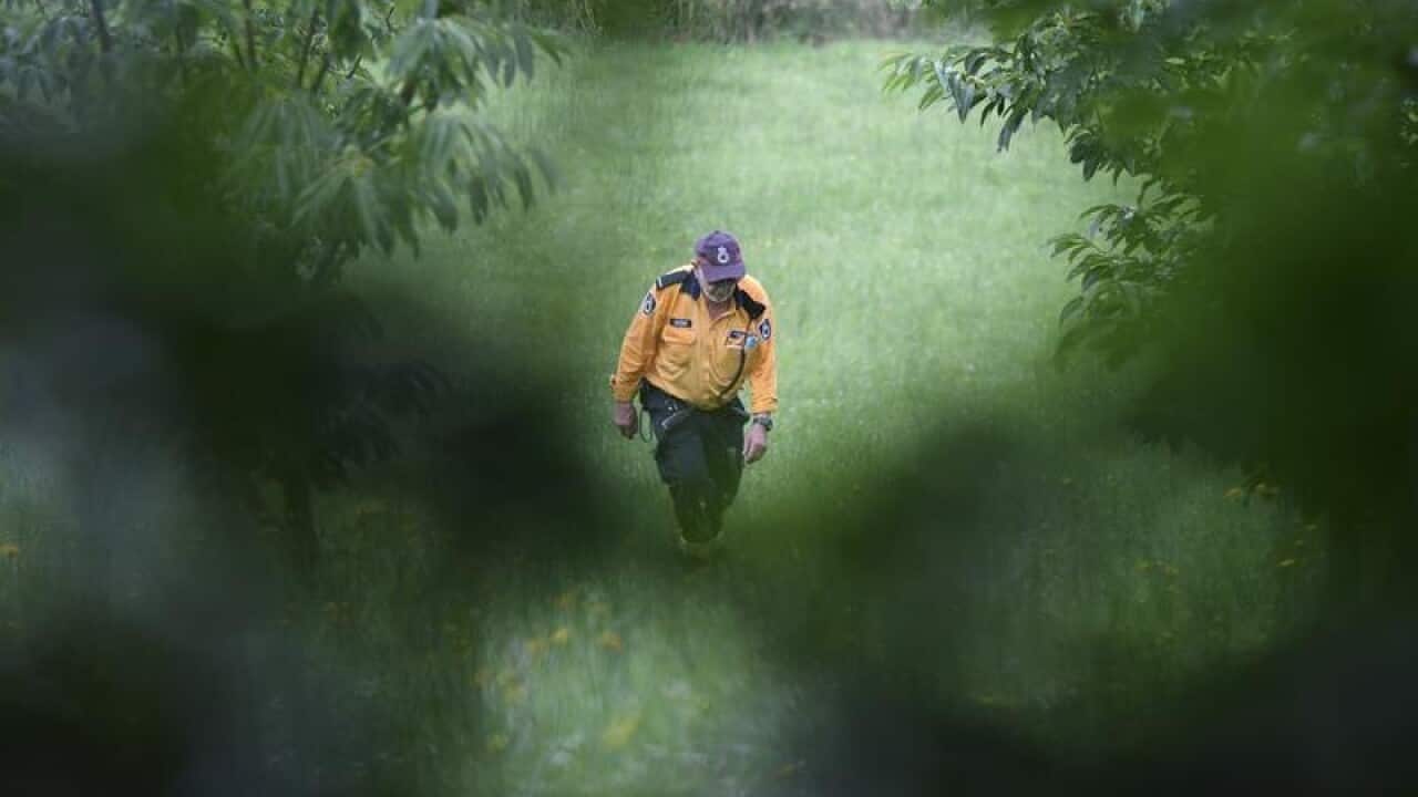NSW RFS member in the search for Charlise Mutten