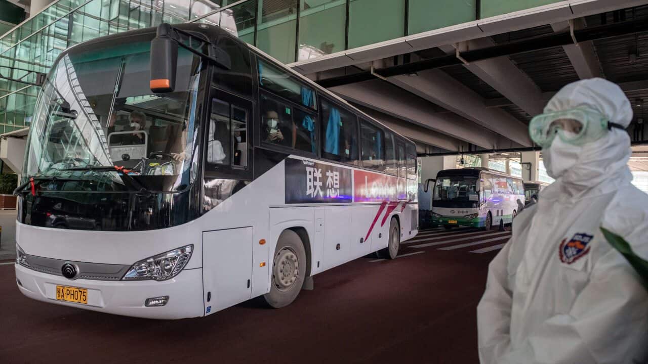 A bus carrying members of the WHO team leaves the airport following their arrival in Wuhan on 14 January.