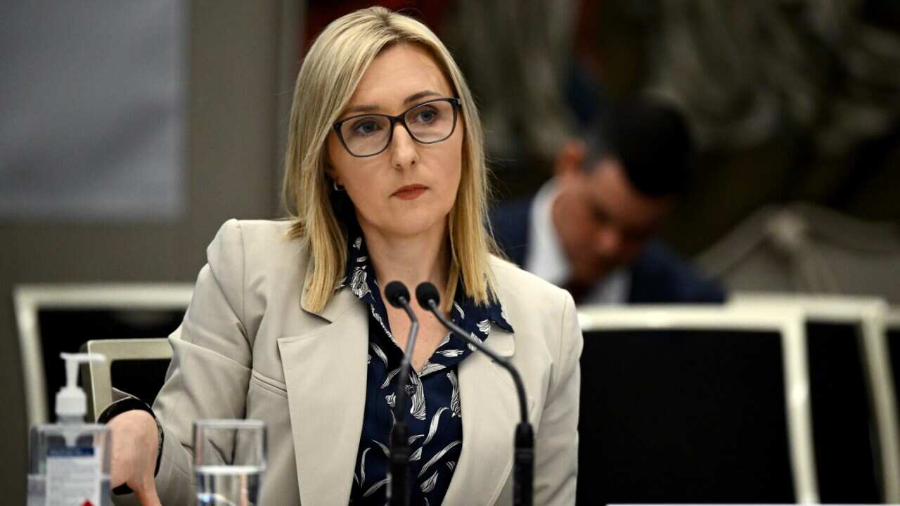 Amy Brown, Chief Executive Officer of Investment NSW during the inquiry into the appointment of John Barilaro