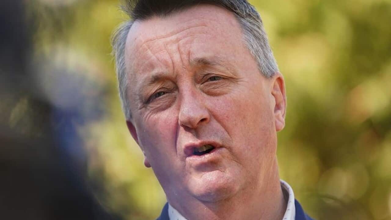 Minster for Housing, Disability and Ageing Martin Foley (file image)