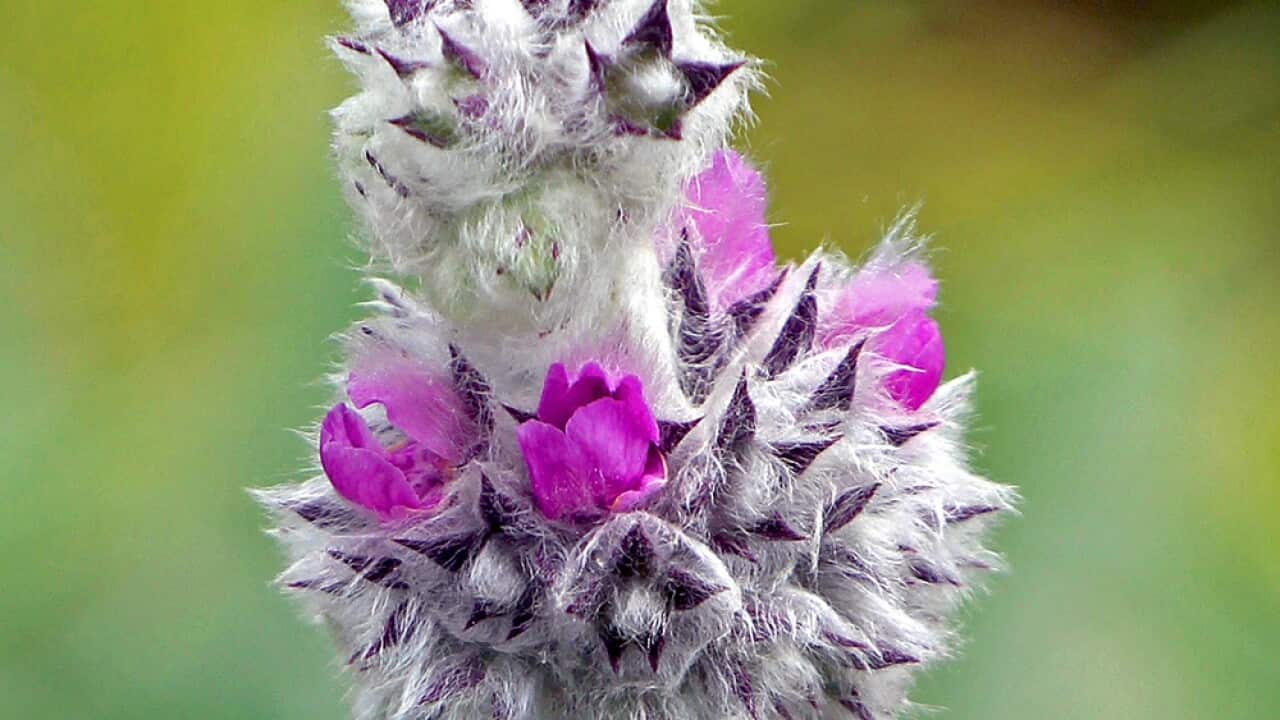 Image for read more article 'READ MORE'