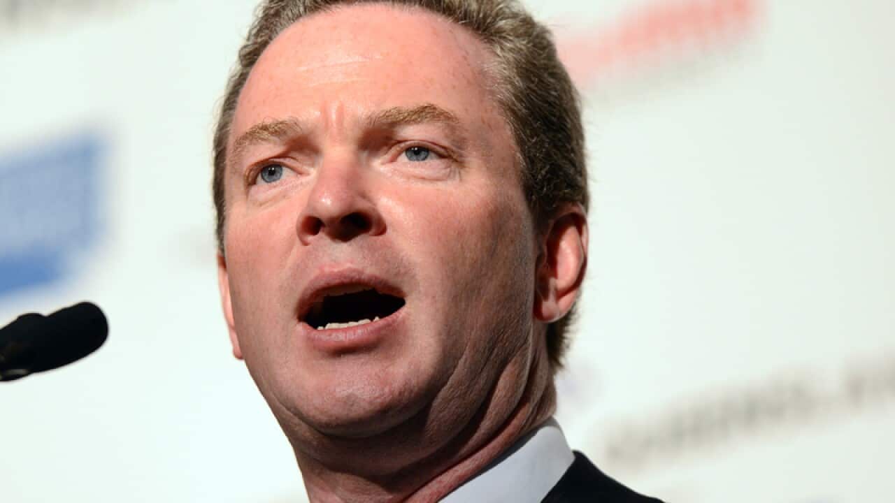 Education spokesman Christopher Pyne