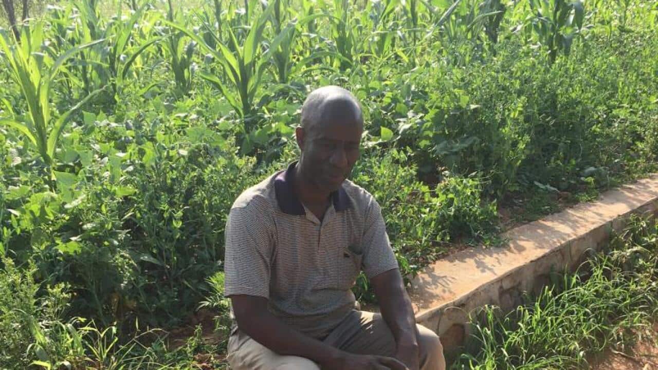 Melance Nzeyimana sitting near his crops in Western Australia.