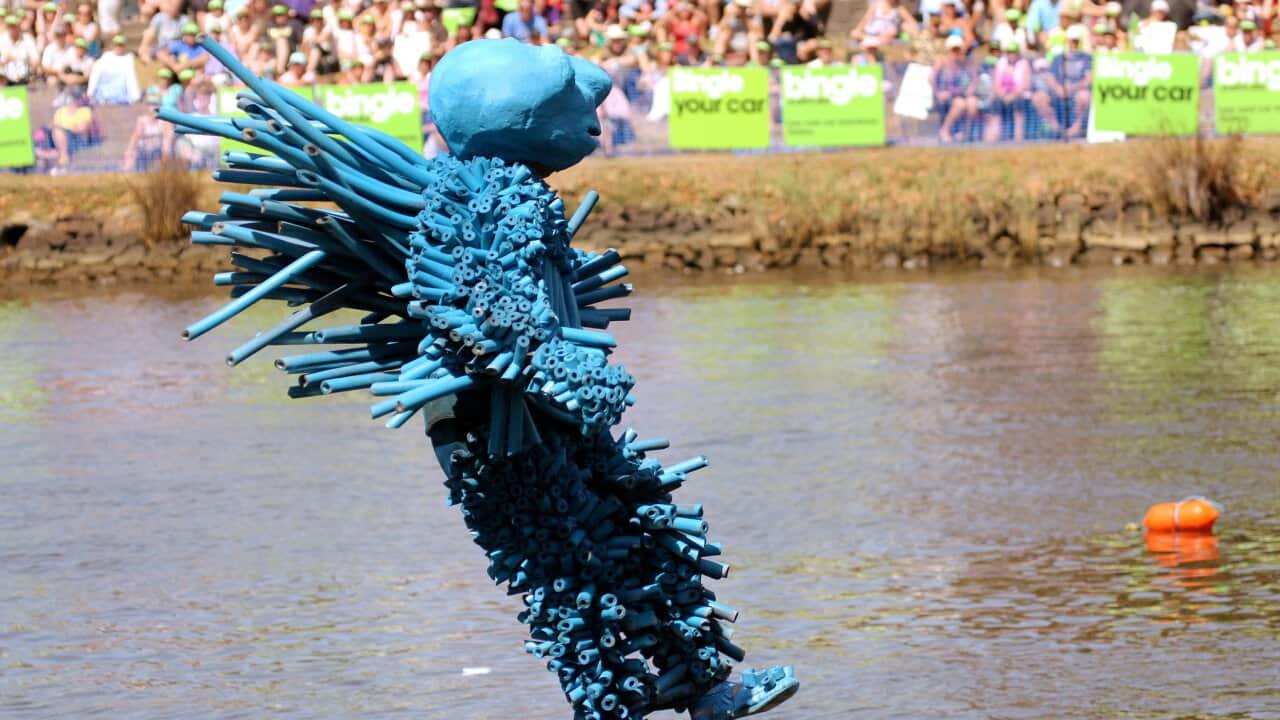 BirdmanRally_140309_AAP.jpg