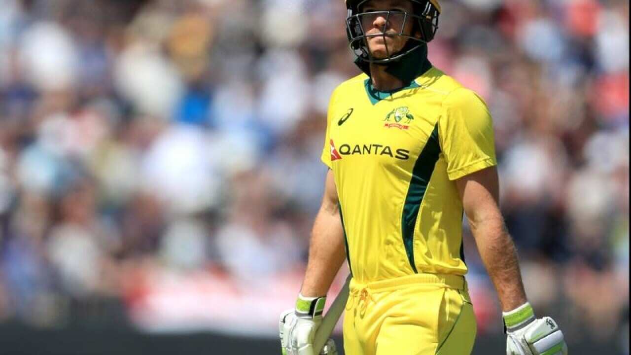 Australia's Tim Paine walks off after being dismissed.