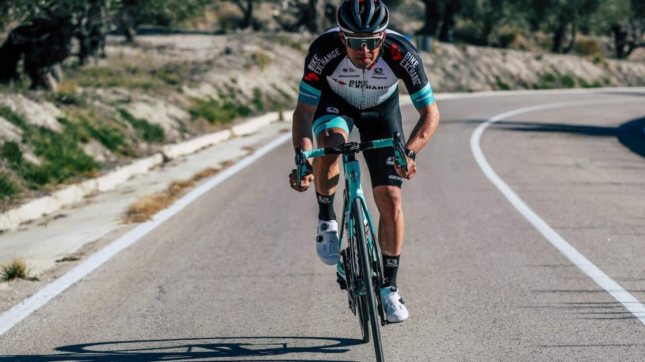 Michael Matthews, Team BikeExchange