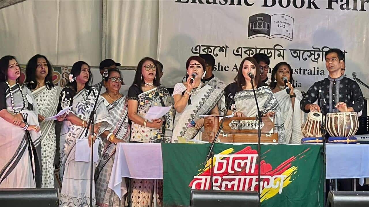 WhatsApp Image 2026-02-17 at 19.26.37.jpeg