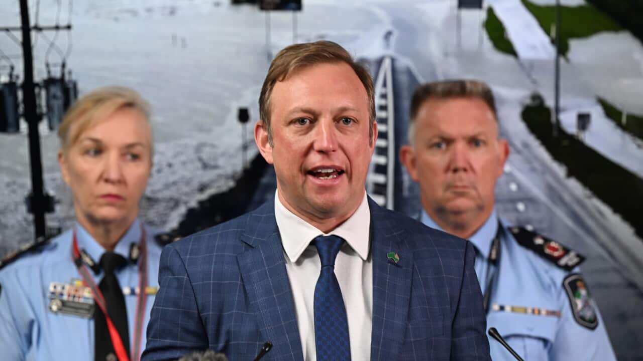 STEVEN MILES CYCLONE JASPER PRESSER