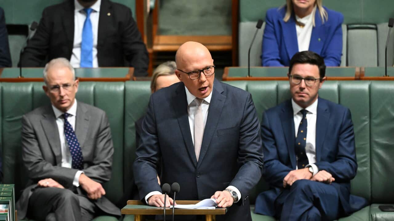 PETER DUTTON