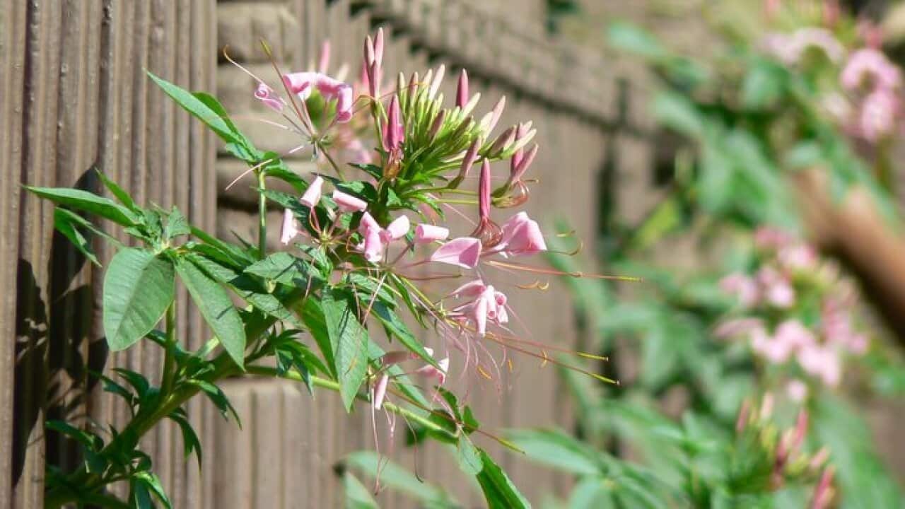 Image for read more article 'READ MORE'